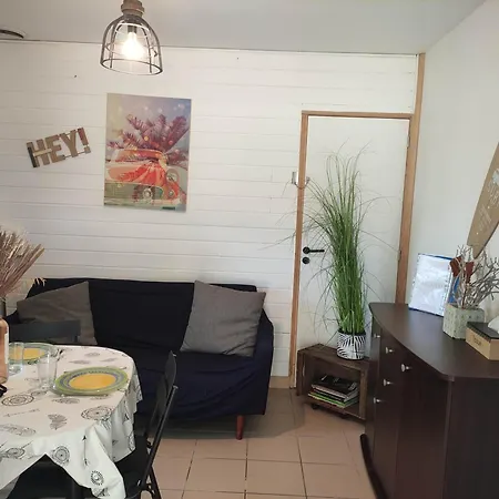 Avec Terrasse En Lisiere De Foret Apartman Biscarrosse